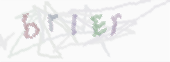 CAPTCHA image for SPAM prevention